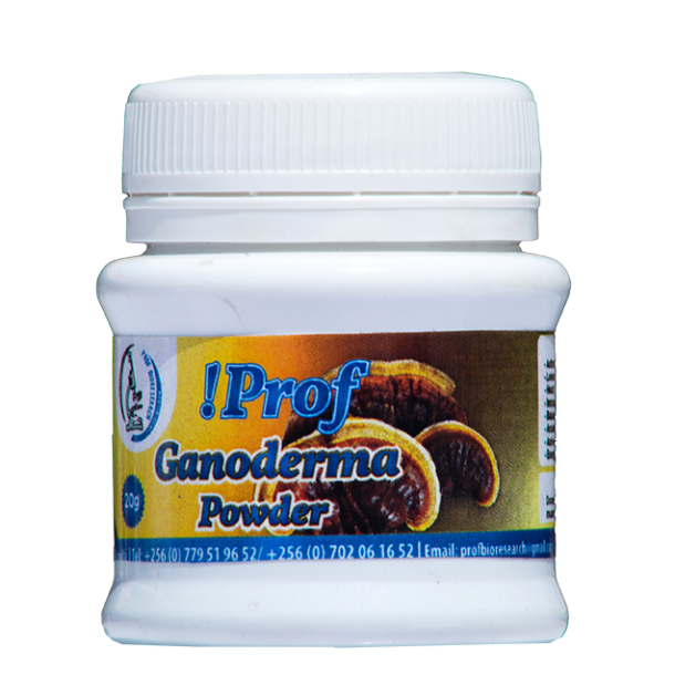 Ganoderma powder